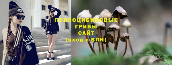 таблы Няндома