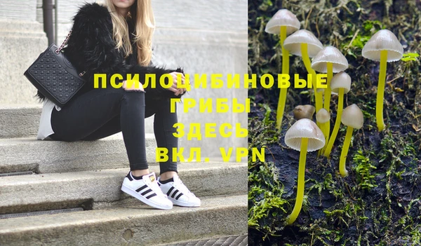 таблы Няндома