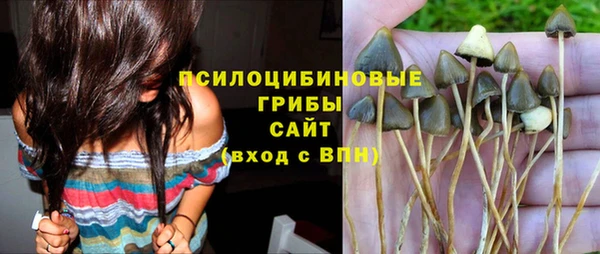 тгк Нязепетровск
