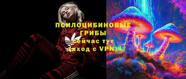 тгк Нязепетровск
